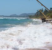 Lydgate-Park-That's-How-We-Travel