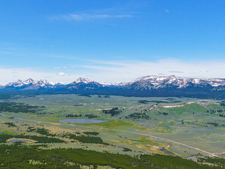 Yellowstone National Park: Day Two in the Park, this time from the North Entrance