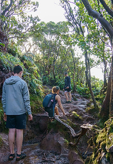 Swamp-Trail-Kauai-That's-How-We-Travel-1