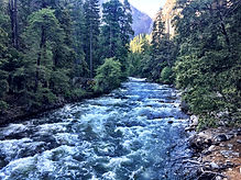 20160529_153247180_iOS.jpg