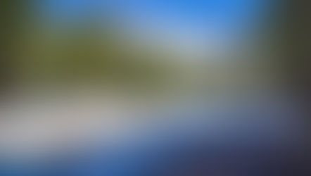 Mt. Shasta, California: Bunny Flats to Horse Camp Hike