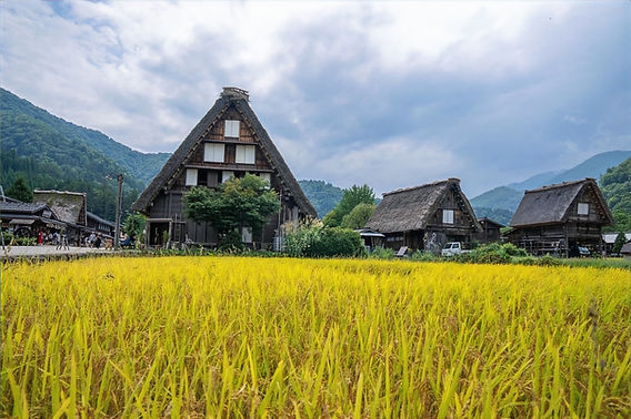 Takayama and Shirakawa, Japan: A Day Exploring the History and