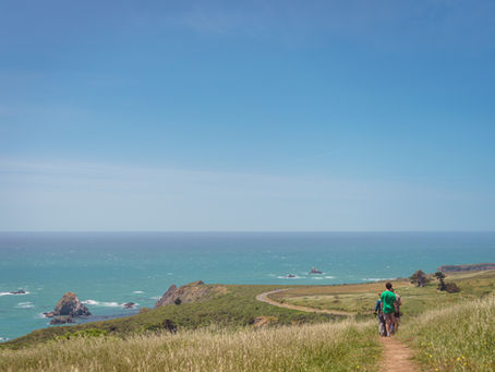 Sonoma County, California: Jenner Headlands Preserve