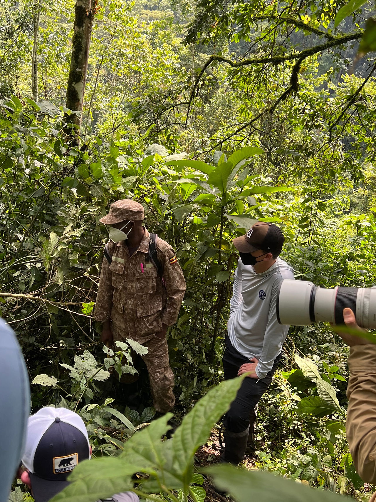 Gorilla Trekking in Uganda's Bwindi Impenetrable National Forest