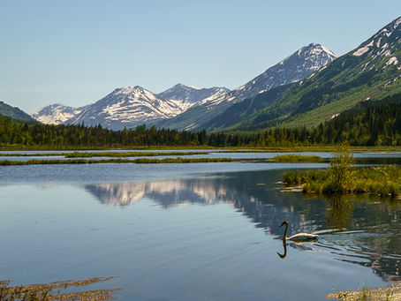 Seward/Homer, Alaska: Hiking Tonsina Creek + the Homer Spit located in Alaska's Halibut Capital