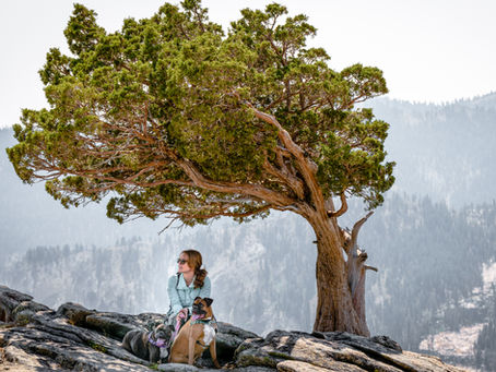 Tahoe Donner: Hiking Mount Judah Loop Trail + Donner Lake