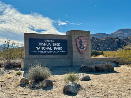 Joshua Tree National Park: A Winter Visit in this Desert Park