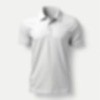 Company Logo Polo