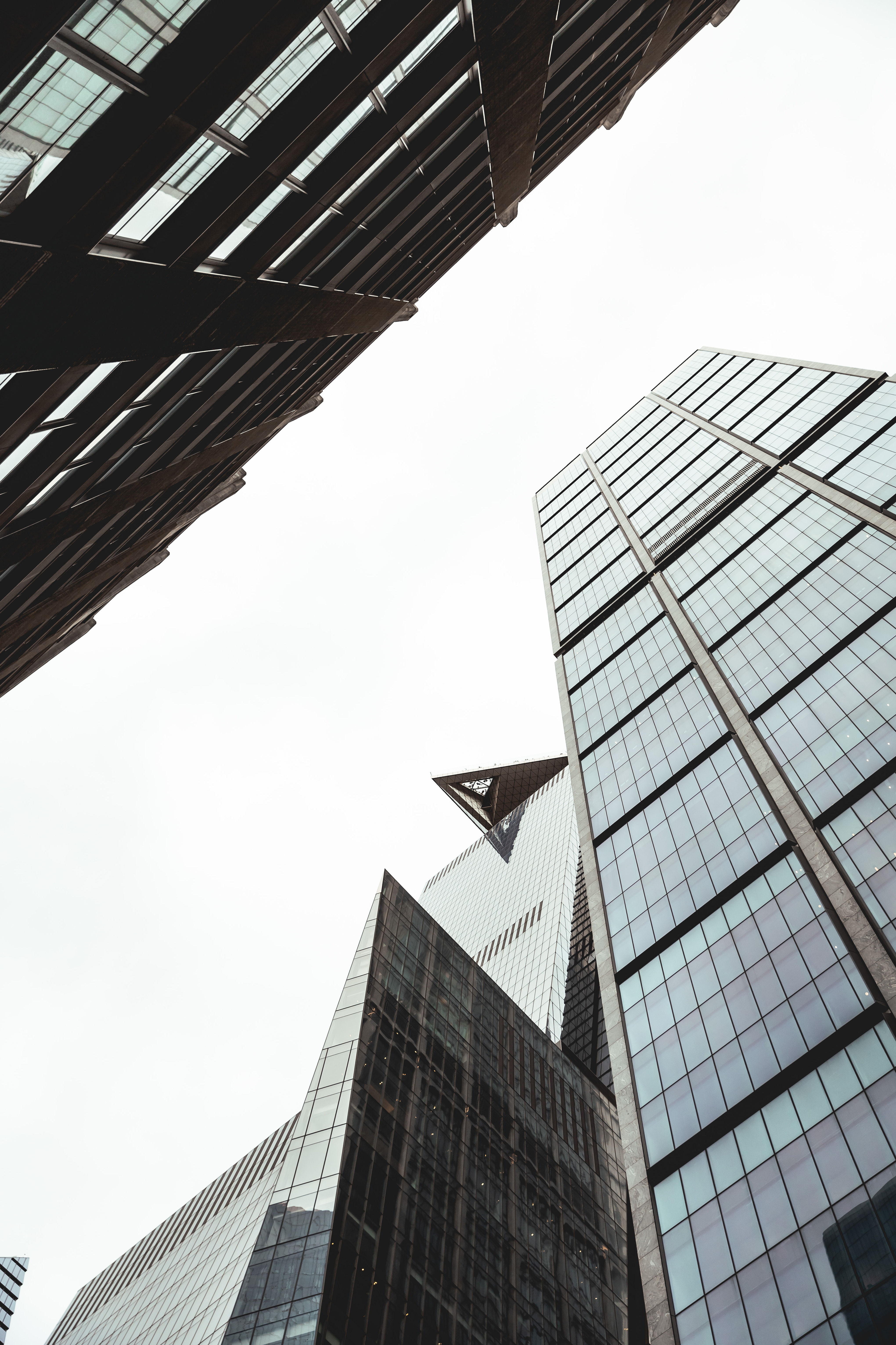 Point of View New York City