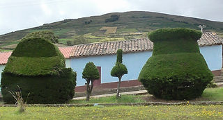 JARRONES