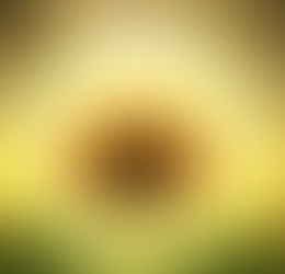 Pitta, l'énergie de l'été