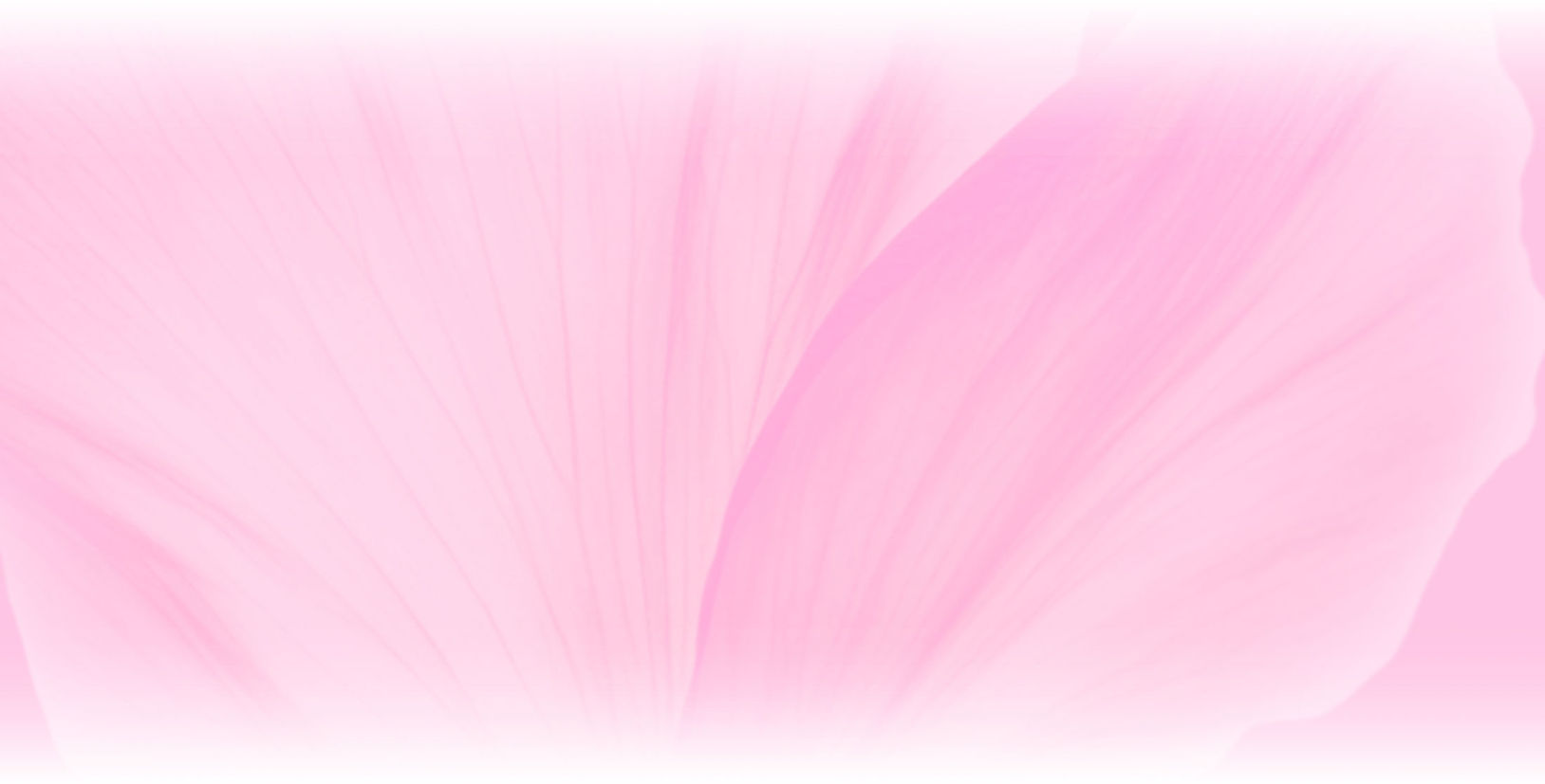 background_2_groupe_de_parole_femme.jpg