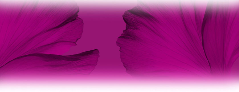 background_fleur_groupe_de_parole_femmes.jpg