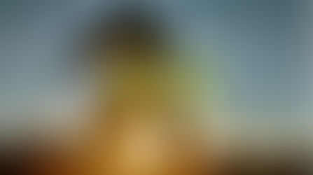 ANGUILLA SCULPTURE SYMPOSIUM