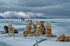 Segn - Zagolin Sandra - Dogs lead - N°3.jpg