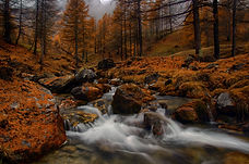 Segn - Biglino Gloriano - torrente del passet 03.jpg