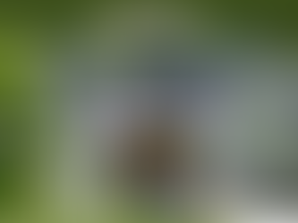 12 October 2023: Officially launching another remarkable Home for Humanity - Terra Meera in Croatia.