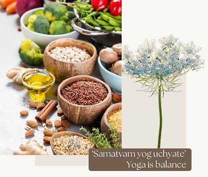 Website Last Photo 4_edited.jpg