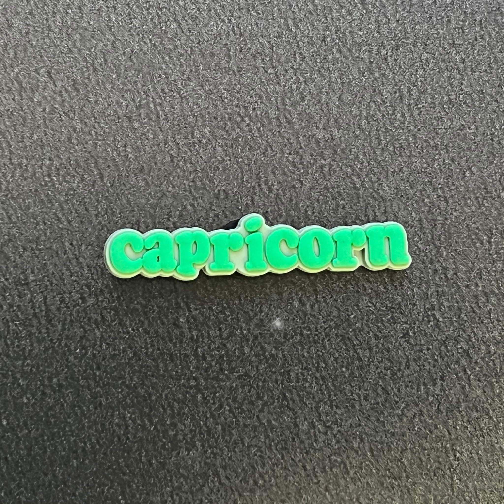 Capricorn Charm