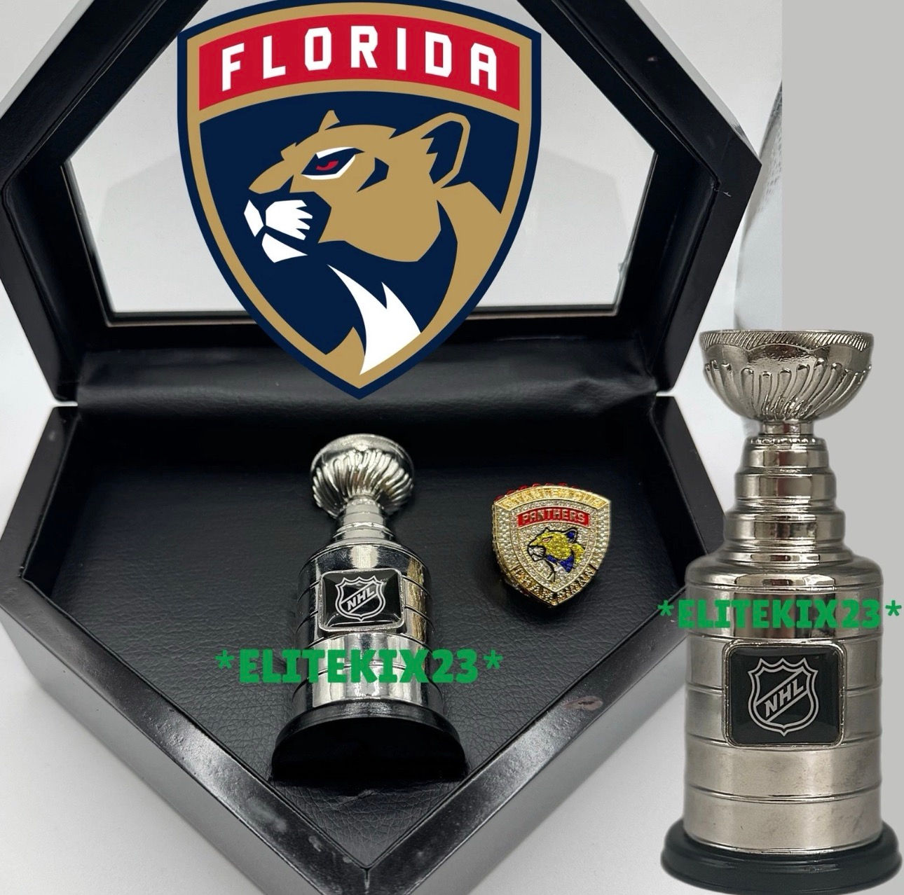 Florida Panthers 2024 Hockey CHAMPIONSHIP RING + TROPHY + CASE