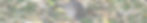 pexels-zacharias-korsalka-10105741_edited.jpg