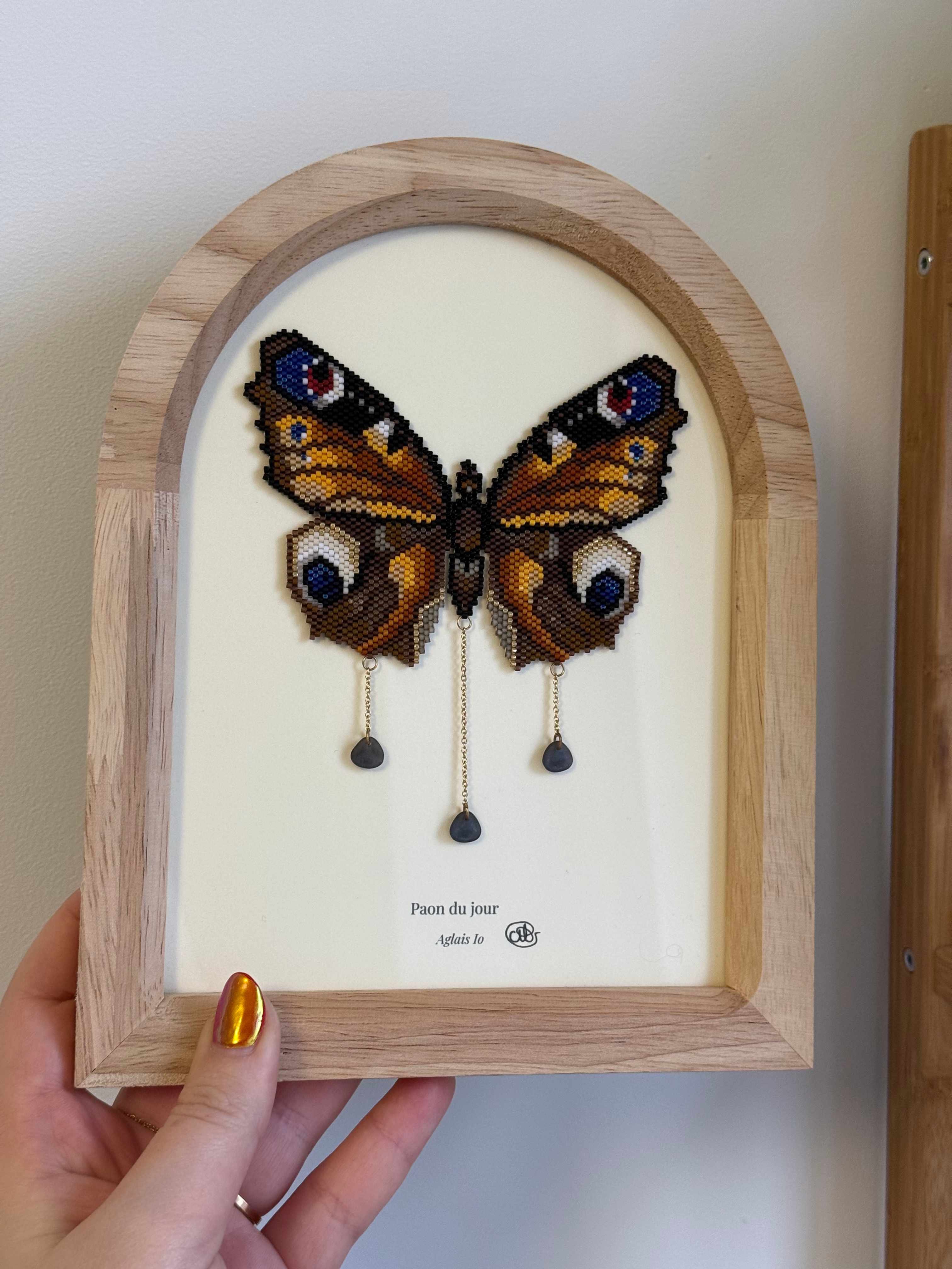 Cadre - Le papillon "Paon du jour"