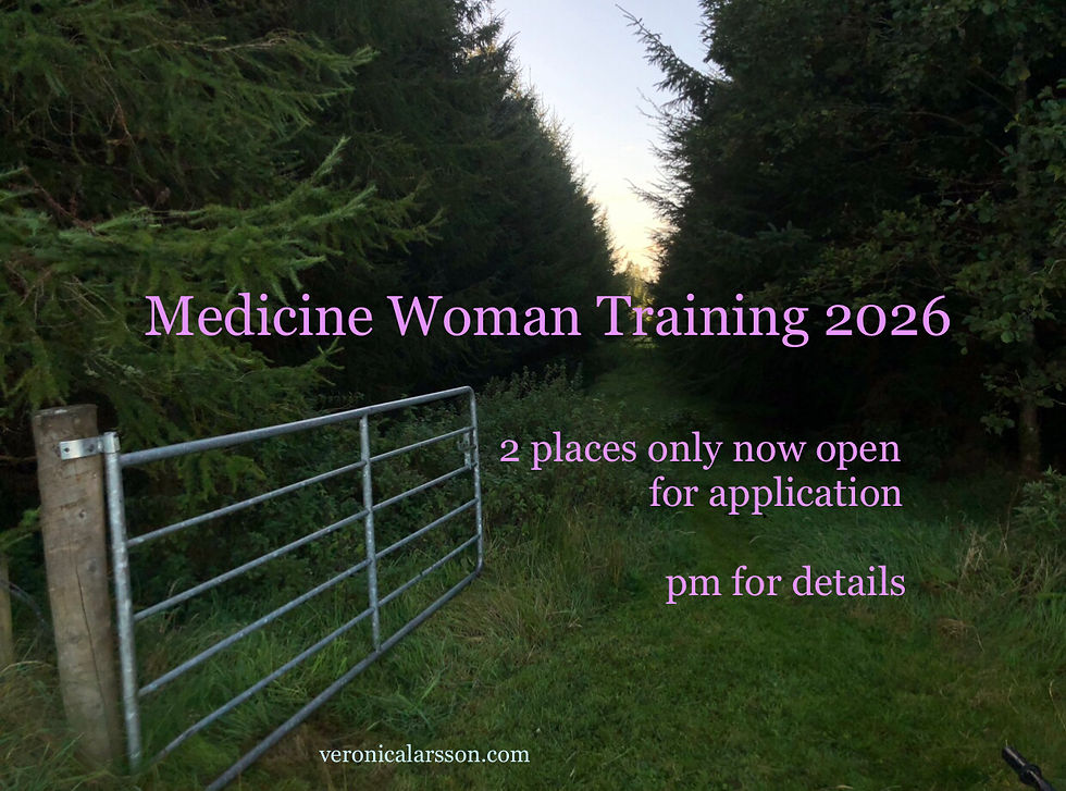 2026 Greetings! Changes afoot amidst an amazing New Creation coming soon - this website will be wrapped up as a new online offering emerges. And the only call for Medicine Woman Training 2026 is NOW