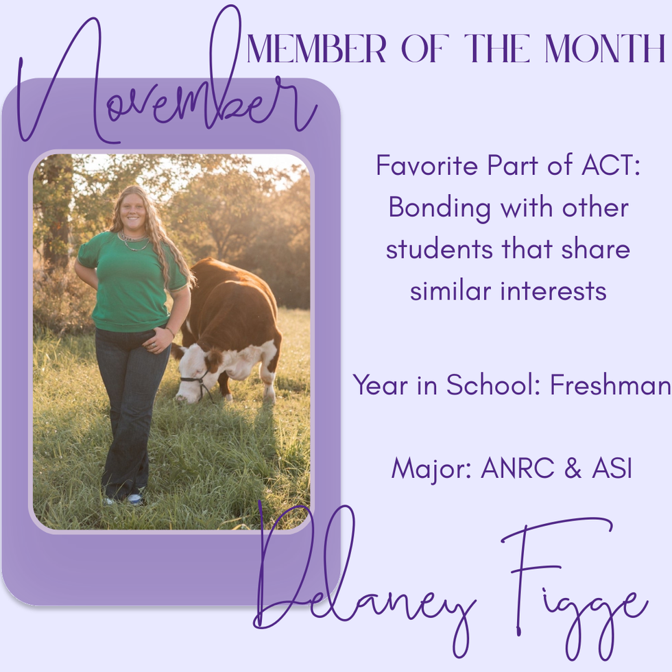 November Member of the Month Post