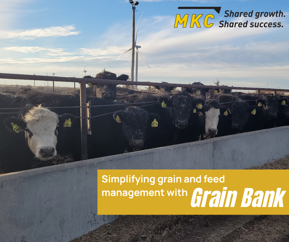 Grain Bank Facebook Post 