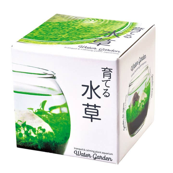 Thumbnail: Water Garden