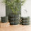 Thumbnail: 3D Printed Planters