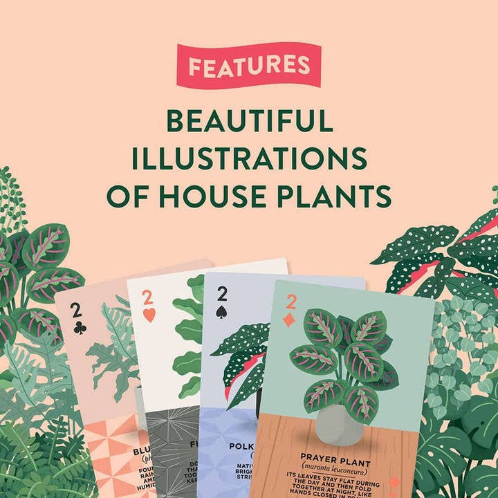 Thumbnail: House Plants Playing Cards