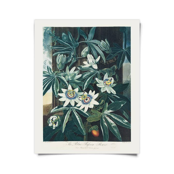 Thumbnail: Vintage Reproduction Prints