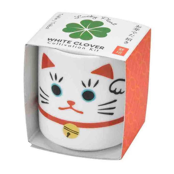 Lucky Cat Grow Kit