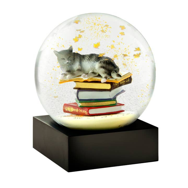 Thumbnail: Cool Snow Globes