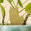 Thumbnail: Tiny Plant Critters