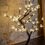 Thumbnail: Lighted Trees