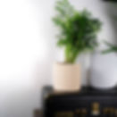 Thumbnail: 3D Printed Planters