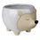 Thumbnail: Ceramic Hedgehog Pot