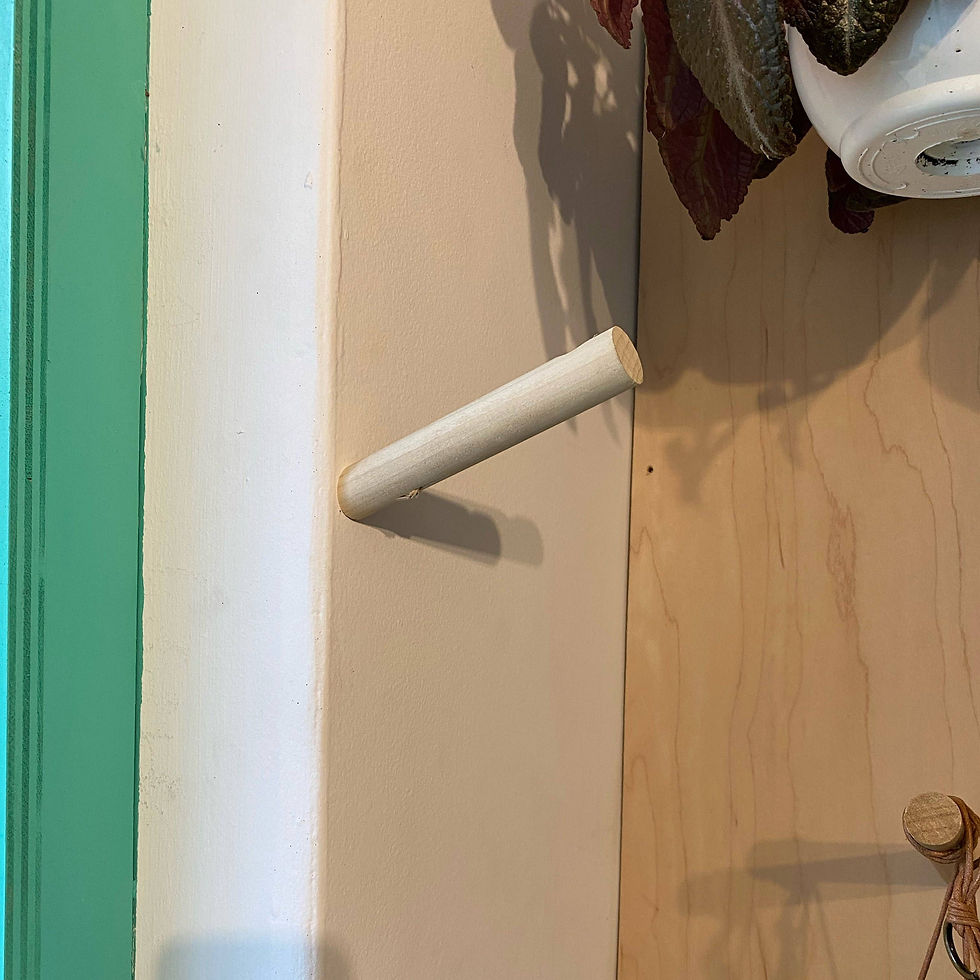 Thumbnail: Simple Wall Hook for Plants