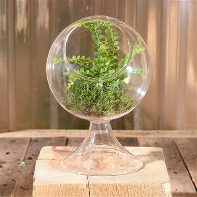 Round Terrarium