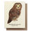 Thumbnail: Plantable Wildflower Seed Cards