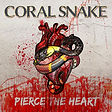 coral snake.jpeg