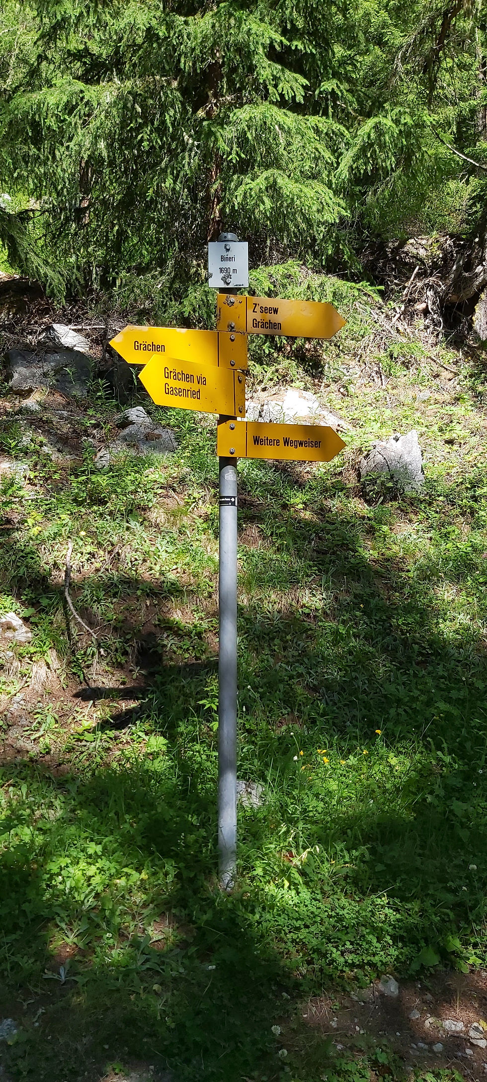 Suonenweg "Bineri"