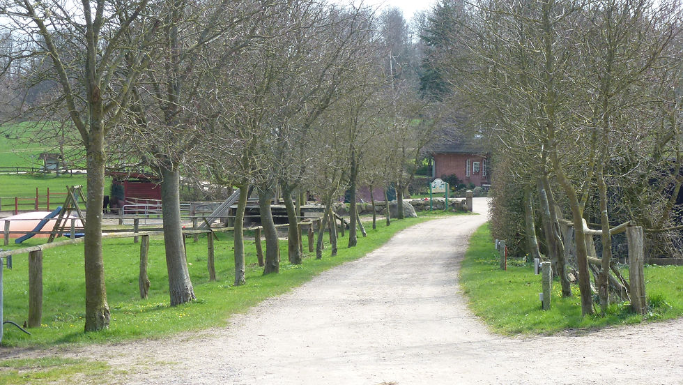Auffahrt zum Cafe Radlandsichten