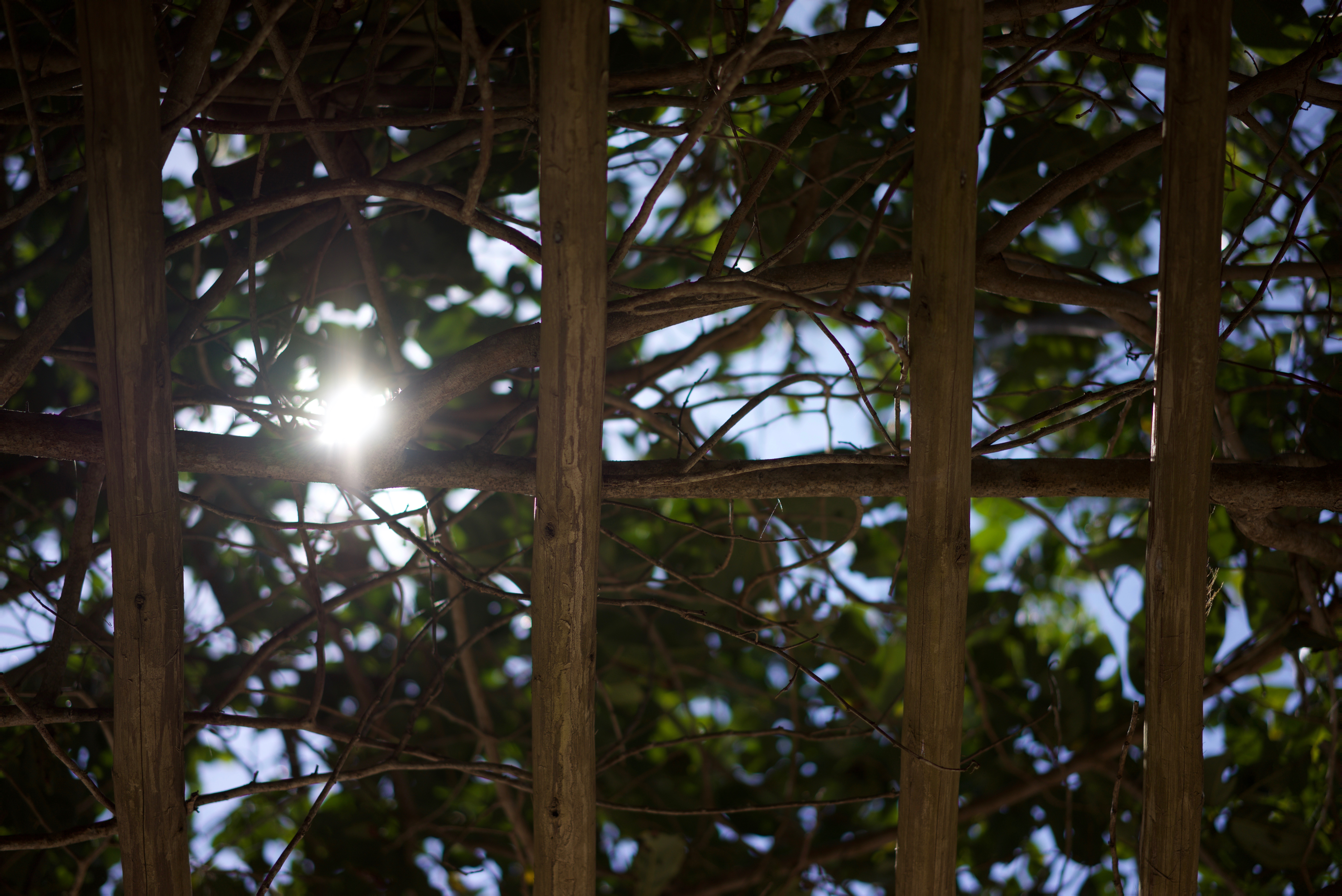 A Luz do Amanhã - Light of Tomorrow
