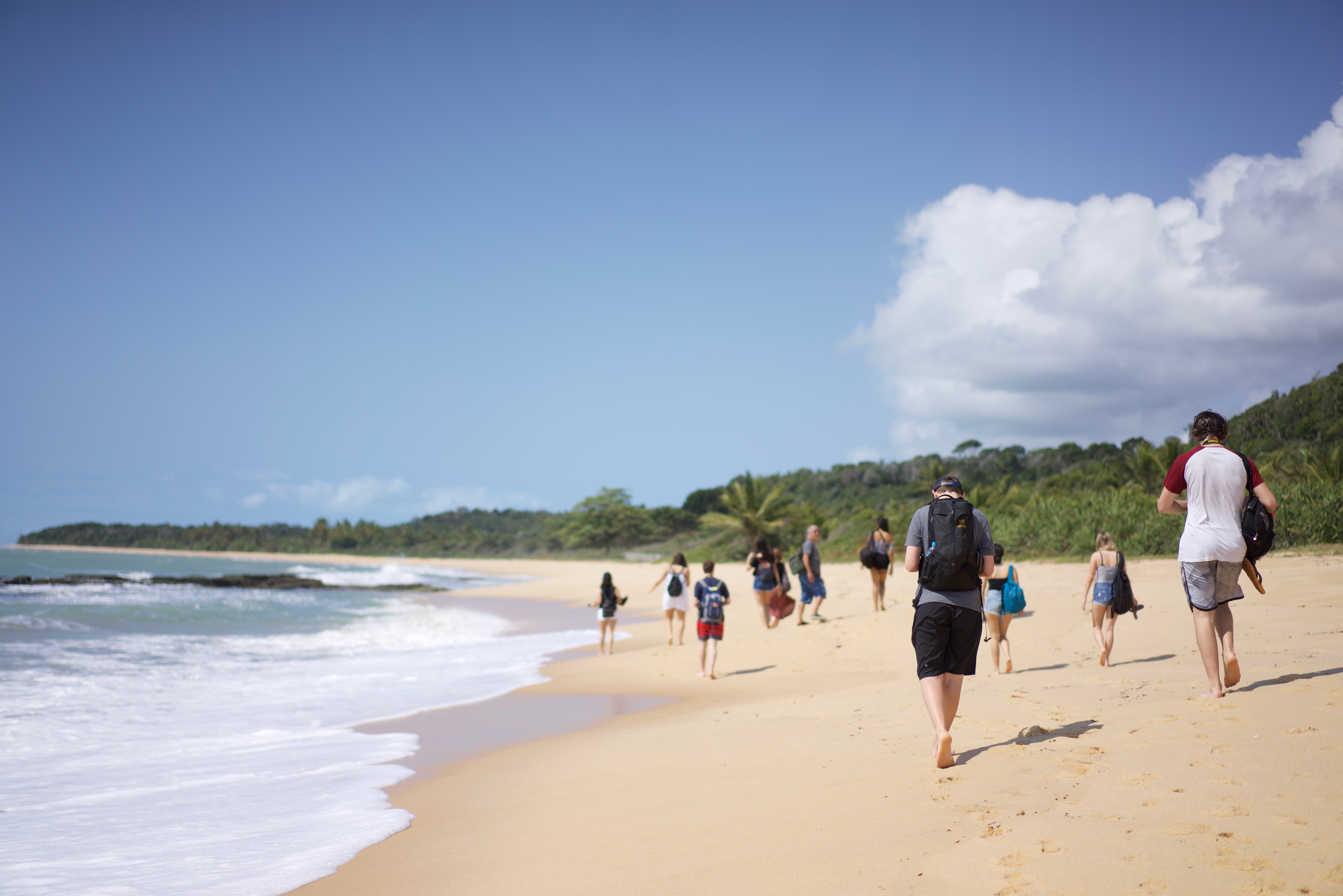 Caminho da Vida - Walk of Life