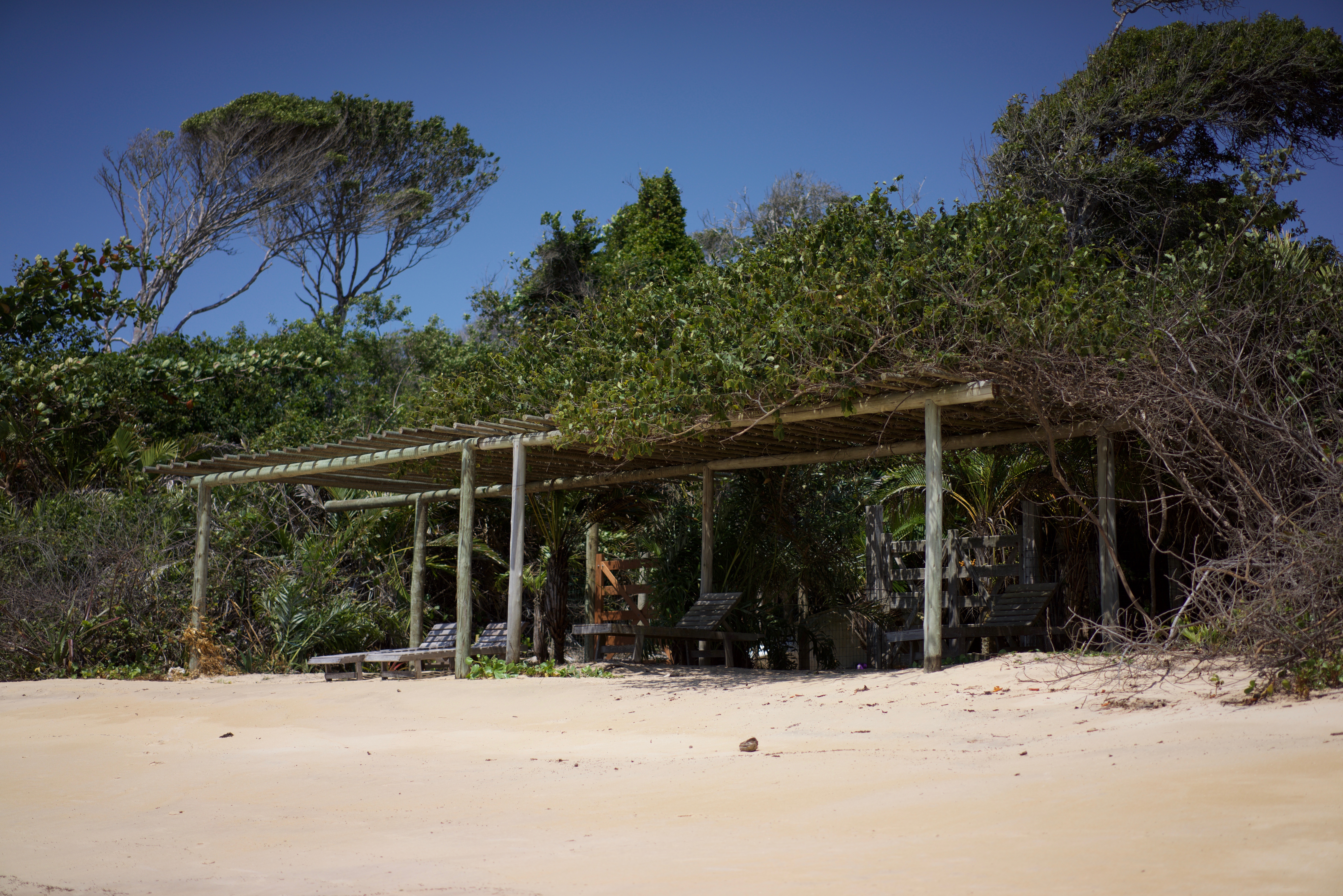 Cabana da Paz - Peace Tent