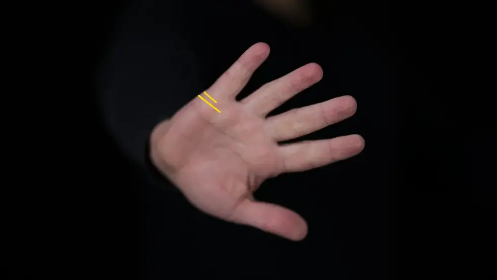 Two marriage line on palm