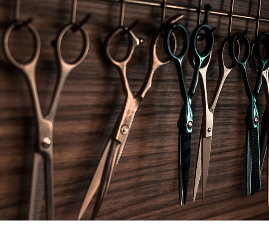 Untitled design (18).png